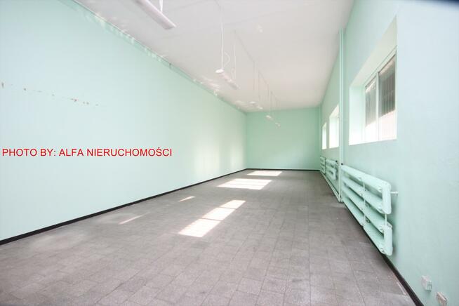 Lokal użytkowy Świdnica