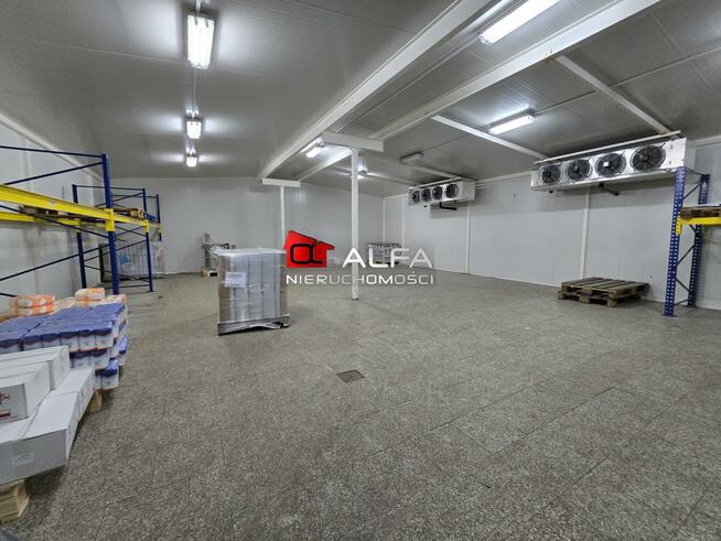 Lokal użytkowy Świdnica