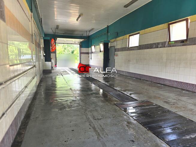 Lokal użytkowy Świdnica