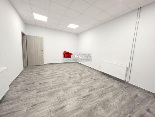 Lokal użytkowy Świdnica, okolice Centrum