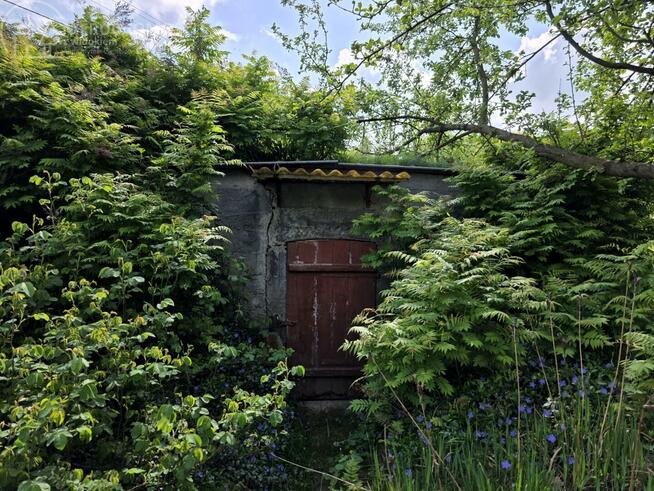 Dom Lubaszowa gm. Tuchów