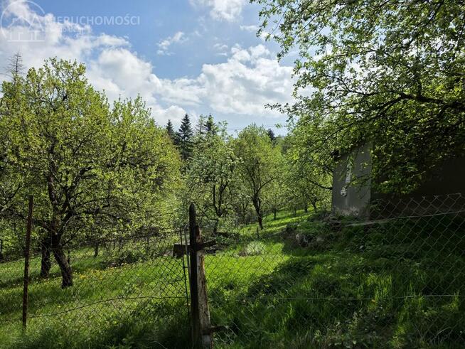 Dom Lubaszowa gm. Tuchów