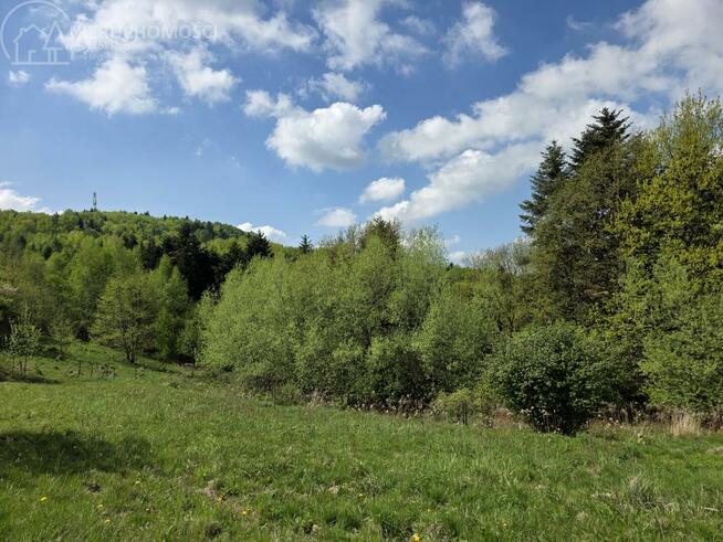 Dom Lubaszowa gm. Tuchów