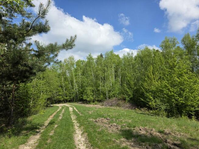 Dom Lubaszowa gm. Tuchów