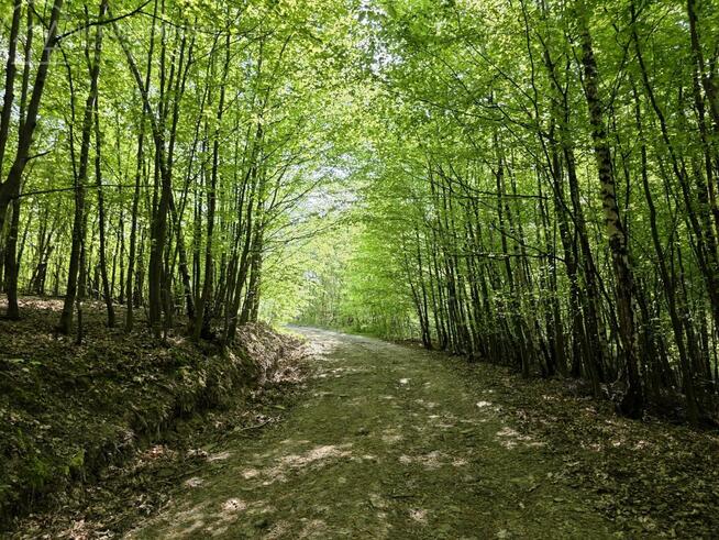 Dom Lubaszowa gm. Tuchów