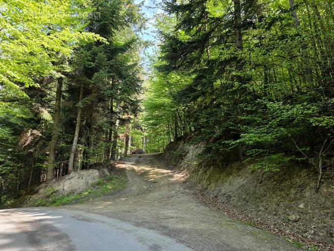 Dom Lubaszowa gm. Tuchów