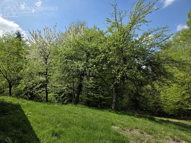 Dom Lubaszowa gm. Tuchów