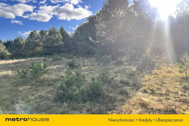 Działka siedliskowa z linią brzegową, przy lesie