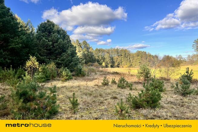 Działka siedliskowa z linią brzegową, przy lesie