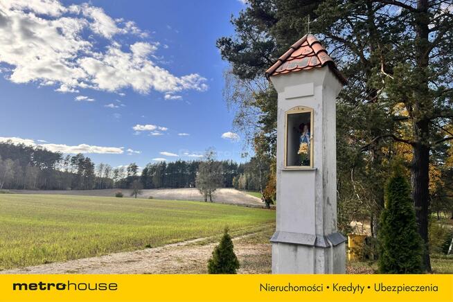 Działka siedliskowa z linią brzegową, przy lesie