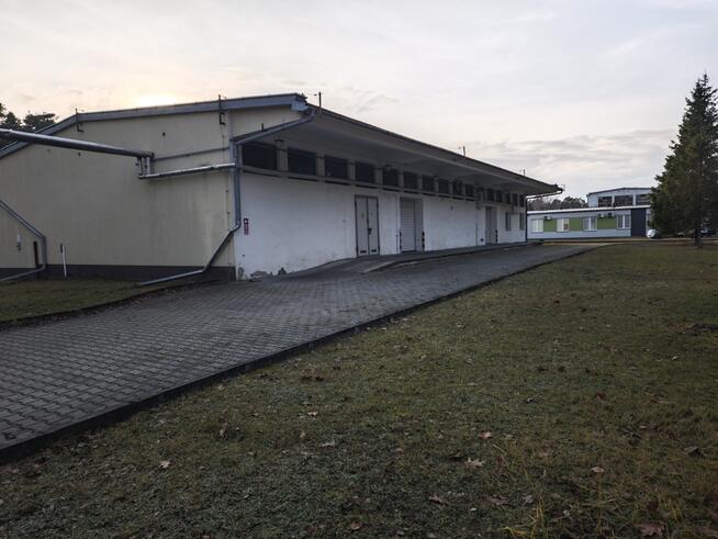 Magazyny do wynajecia