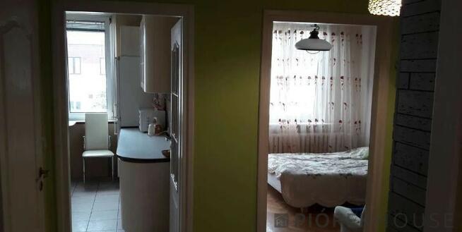 2-pokojowe mieszkanie na Śródmieściu