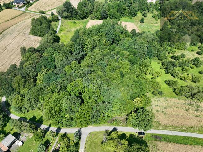 Działka rolno-budowlana Świebodzin gm. Pleśna