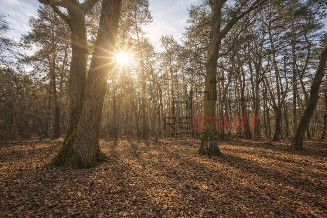 Działka budowlana Książenice gm. Grodzisk Mazowiecki,