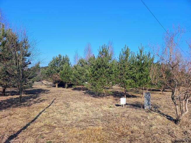 Działka budowlana Ruda-Bugaj gm. Aleksandrów Łódzki