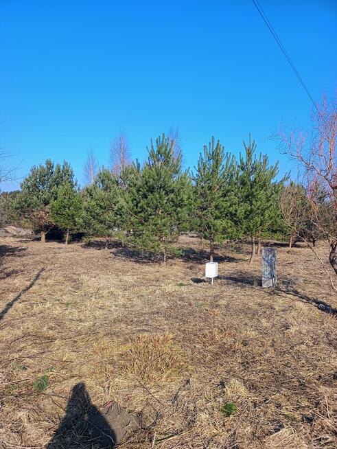 Działka budowlana Ruda-Bugaj gm. Aleksandrów Łódzki