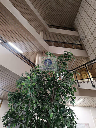 Lokal użytkowy Warszawa Wola, Towarowa