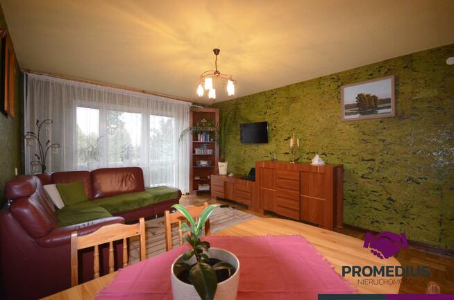 Dom Sokołów Podlaski, Wesoła