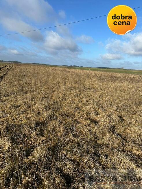 Działka Kościuszki