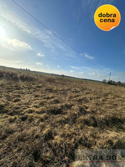 Działka Kościuszki