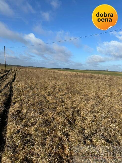 Działka Kościuszki