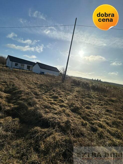 Działka Kościuszki