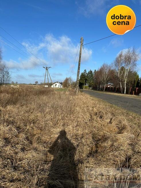 Działka Kościuszki