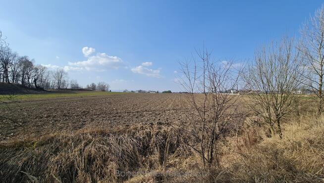 Na sprzedaż działka inwestycyjna Ząbkowice Śląskie