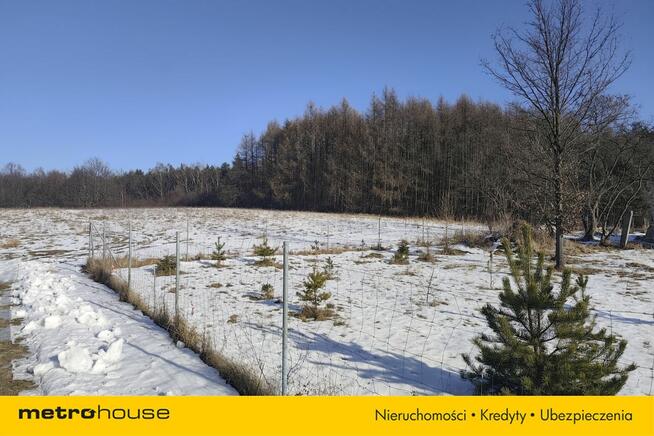 Działka Chruszczobród, ul. Cmentarna