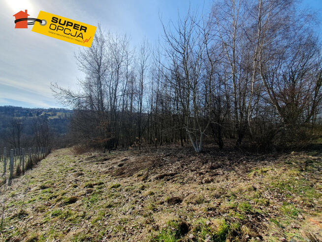 Działka budowlana Golkowice gm. Wieliczka,