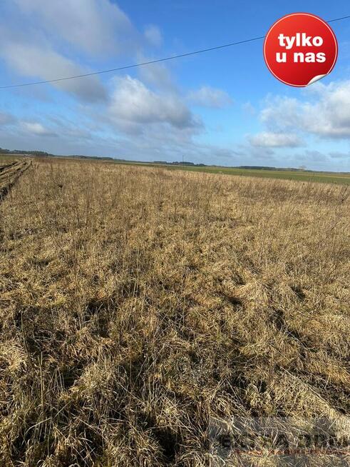 Działka Kościuszki