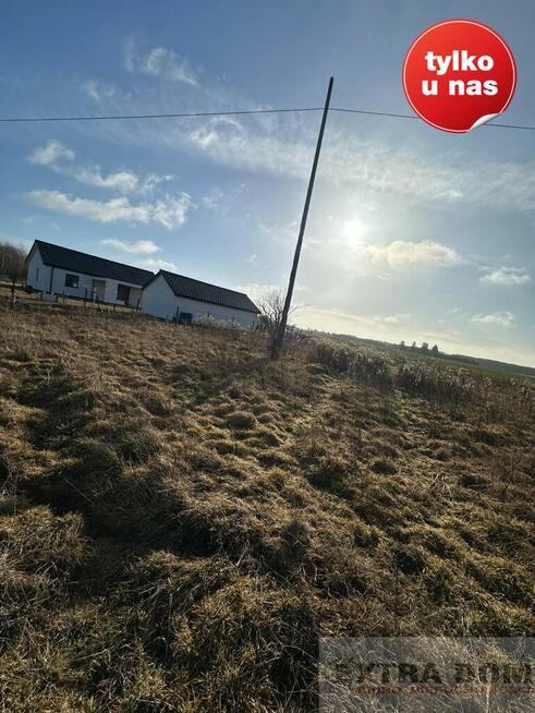 Działka Kościuszki