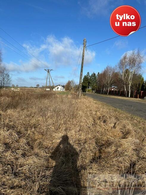 Działka Kościuszki