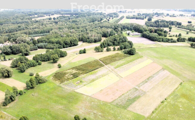 Kompleks gruntów 4,74 ha w gm. Kazanów