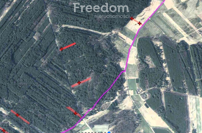 Kompleks gruntów 4,74 ha w gm. Kazanów