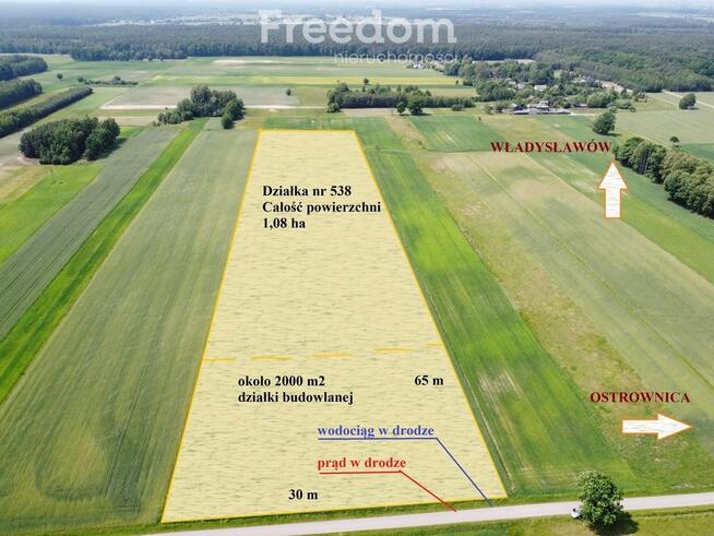 Duża działka rolno-budowlana w Ostrownicy Wieś