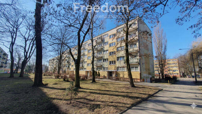 Ustawne 2 pokoje na Teofilowie