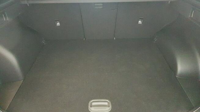 Hyundai Tucson 1.6 T-GDi 48V Executive 4WD ! Z Polskiego Salonu ! Faktura VAT !