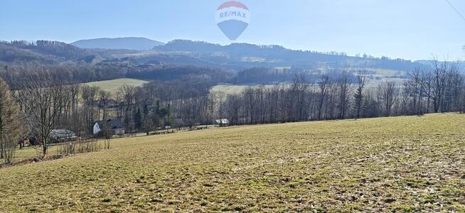 Działka budowlana pod lasem