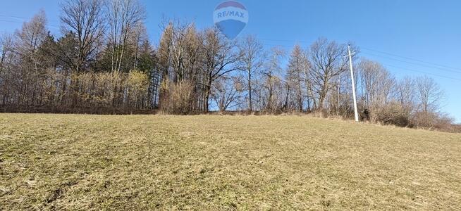Działka budowlana pod lasem