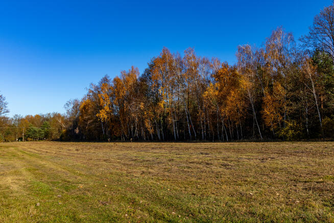 Działka rolno-budowlana Stare Krasnodęby gm. Aleksandrów Łódzki