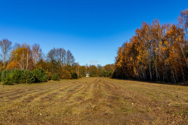 Działka rolno-budowlana Stare Krasnodęby gm. Aleksandrów Łódzki