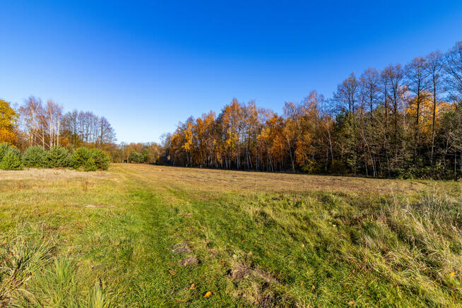 Działka rolno-budowlana Stare Krasnodęby gm. Aleksandrów Łódzki