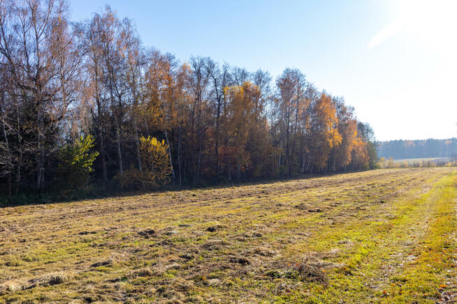 Działka rolno-budowlana Stare Krasnodęby gm. Aleksandrów Łódzki