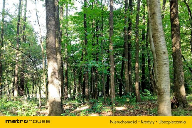 Komfortowy Dom w sąsiedztwie młodego lasu.