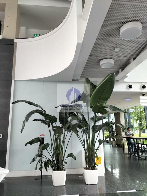 Lokal użytkowy Warszawa Ochota, Białobrzeska