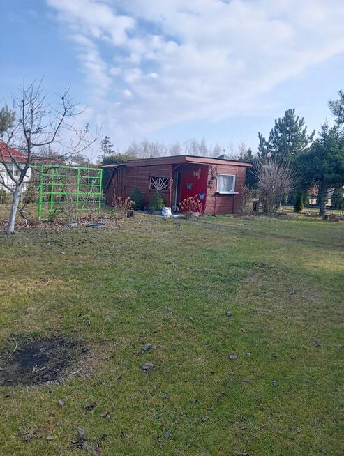 Sprzedam działkę rekreacyjną w Kutnie ROD Grunwald.Polecam!!