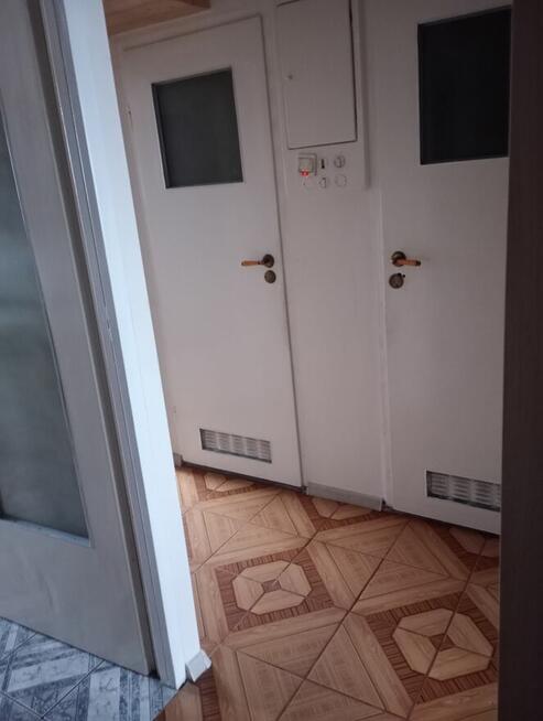 Mieszkanie do wynajęcia