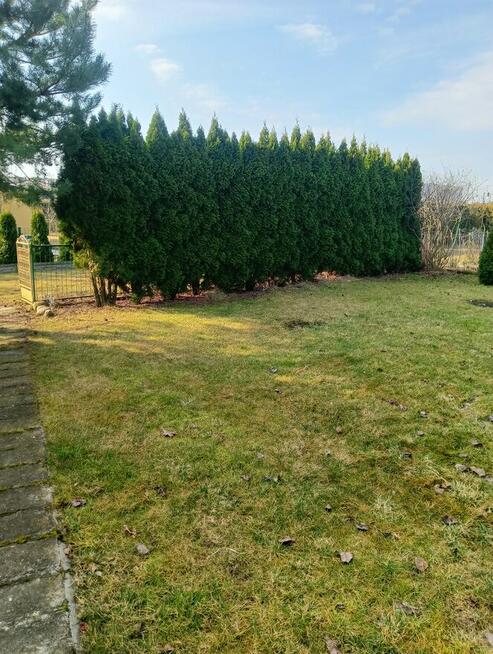 Sprzedam działkę rekreacyjną w Kutnie ROD Grunwald.Polecam!!