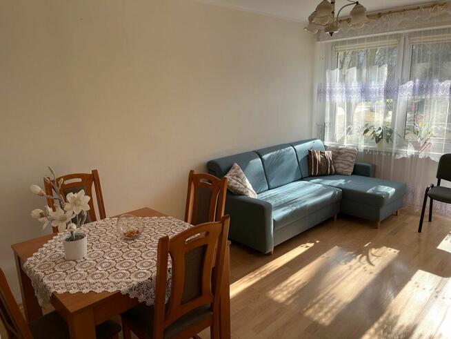 Wynajmę mieszkanie 2-pokojowe Płock